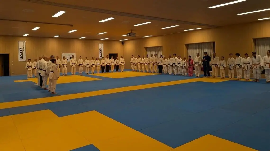 Judo Training im Kanton Aargau